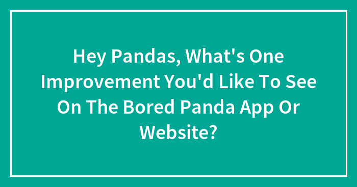 Hey Pandas, What’s One Improvement You’d Like To See On The Bored Panda App Or Website? (Closed)