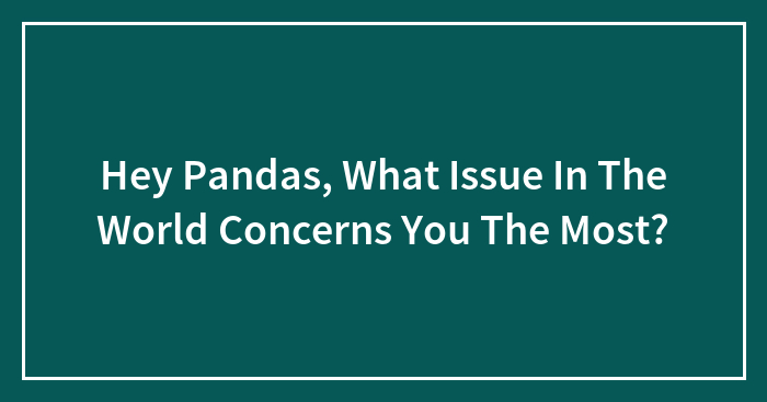 Hey Pandas, What Issue In The World Concerns You The Most? (Closed)