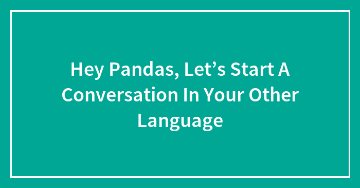 Hey Pandas, Let’s Start A Conversation In Your Other Language (Closed)