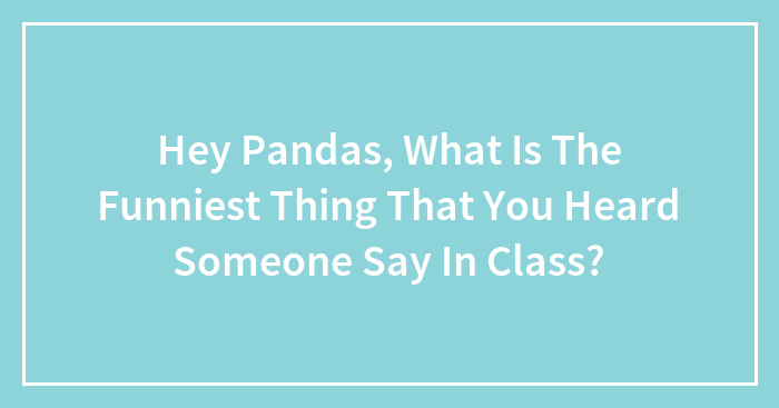 Hey Pandas, What Is The Funniest Thing That You Heard Someone Say In Class?