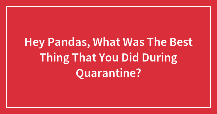 Hey Pandas, What Was The Best Thing That You Did During Quarantine?