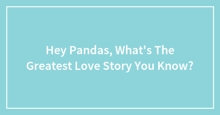 Hey Pandas, What’s The Greatest Love Story You Know? (Closed)