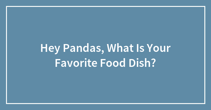 Hey Pandas, What Is Your Favorite Food Dish? (Closed)