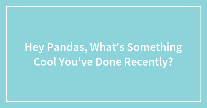 Hey Pandas, What’s Something Cool You’ve Done Recently? (Closed)