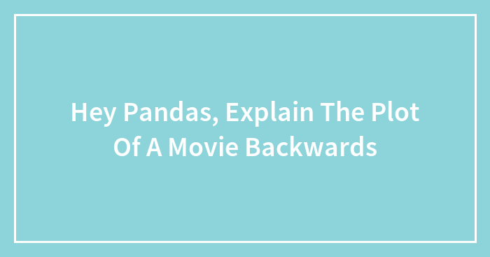 Hey Pandas, Explain The Plot Of A Movie Backwards