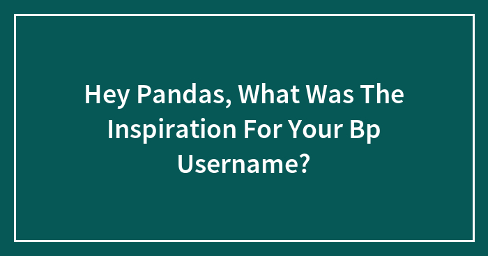 Hey Pandas, What Was The Inspiration For Your Bp Username?