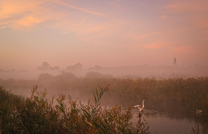 Dreamy Autumn Morning Walk With Fog (17 Pics)