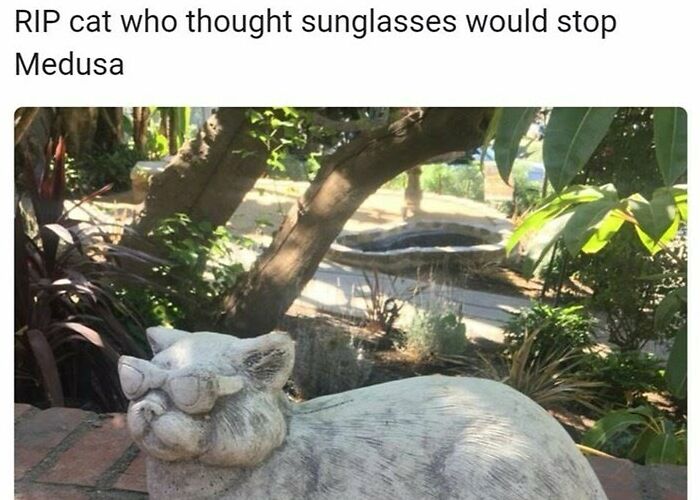 I Collected Cat Memes To Get You Through Today (16 Pics)