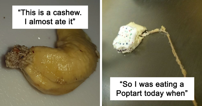 37 Bizarre Food Pictures That Might Make Your Stomach Turn