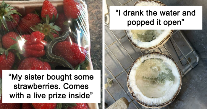 37 Unlucky People Who Tried To Enjoy A Meal, But Found These 'Surprises' Instead