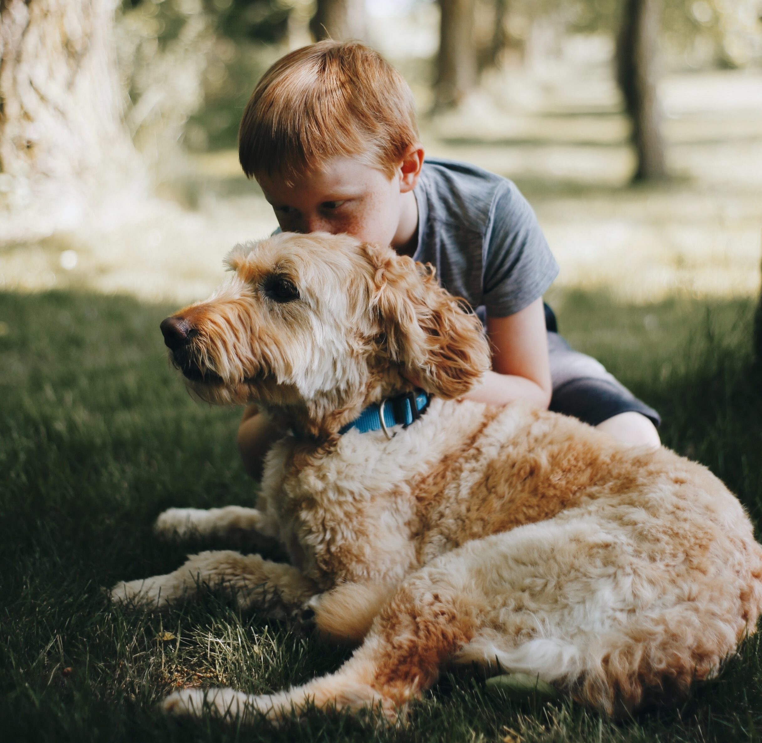 boy kissing dog laying on grass