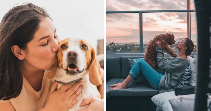 Do Dogs Like Kisses? How Dogs Feel About Human Affection