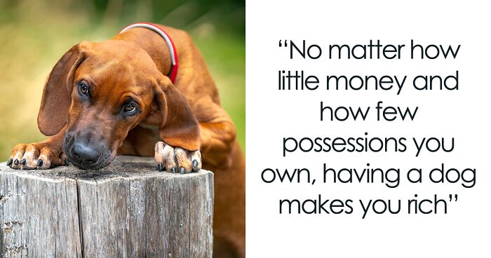 “Motivational Dog Quotes”: My Photography Series That Might Make You Smile (13 New Pics)