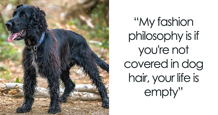 My 13 Photographs Accompanied By Words Of Dog Wisdom (New Pics)