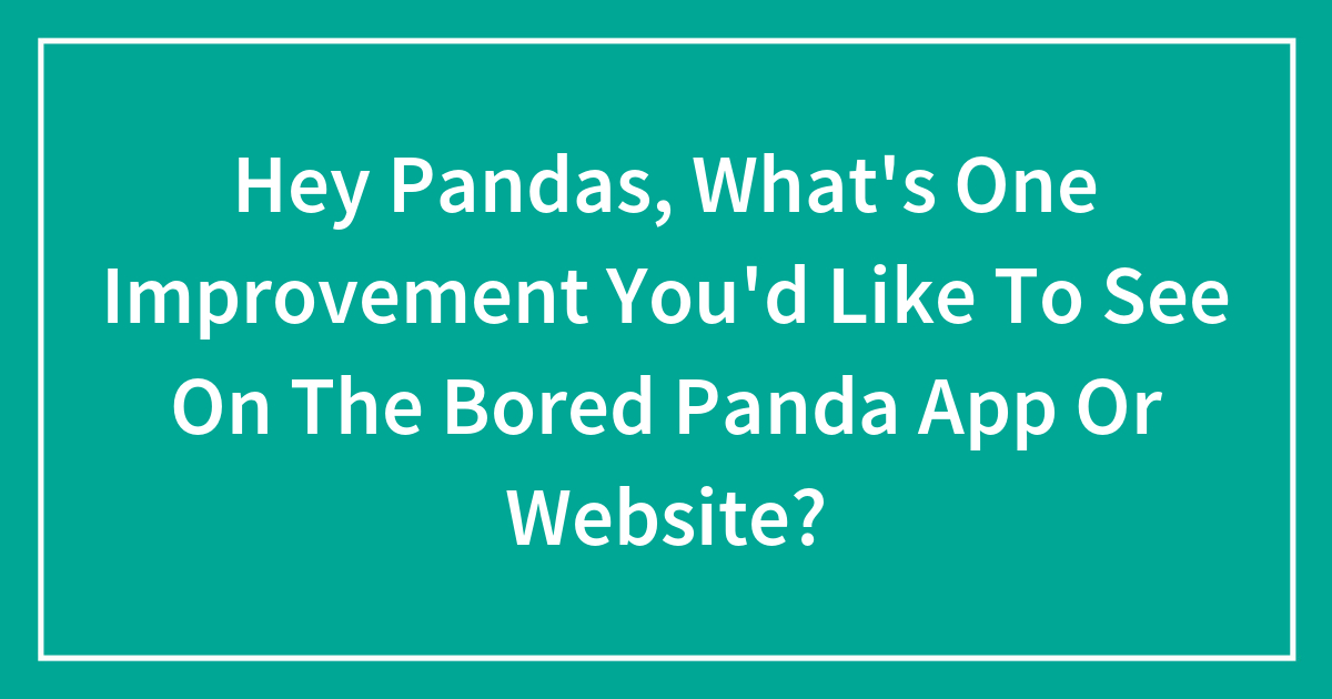 Hey Pandas, What’s One Improvement You’d Like To See On The Bored Panda ...