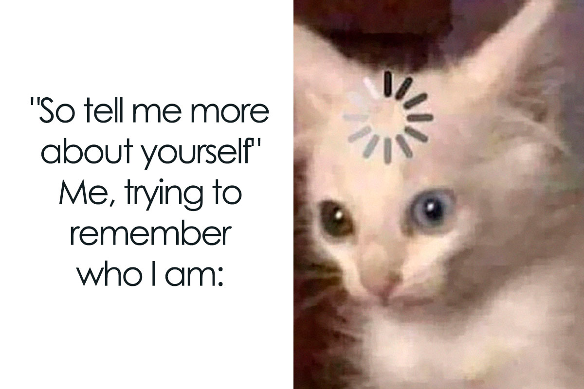 15 'Nobody' Memes That Will Make Everybody Laugh Out Loud