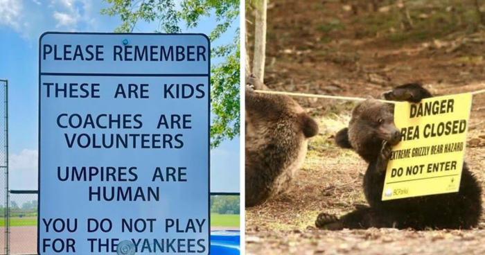 48 Chaotically Funny Signs That People Have Discovered In The Wild