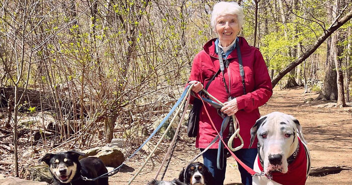 Giant Great Dane And Adorable Grandma Become Best Friends After Meeting On A Hiking Trail