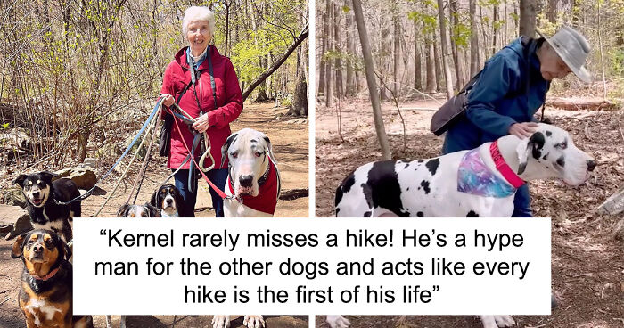 Lonely Grandma Bonds With Great Dane After Meeting On A Hiking Trail