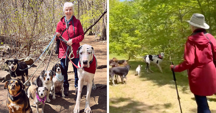 Great Dane Meets Elderly Woman On A Hike, Decides She’s His Grandma Now