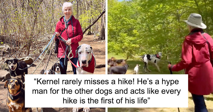 Great Dane And His Owner “Adopt” A Lonely Grandma And Go On Weekly Hikes Together