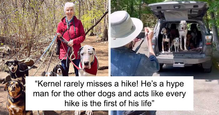 Great Dane Meets Elderly Woman On A Hike, Decides She’s His Grandma Now