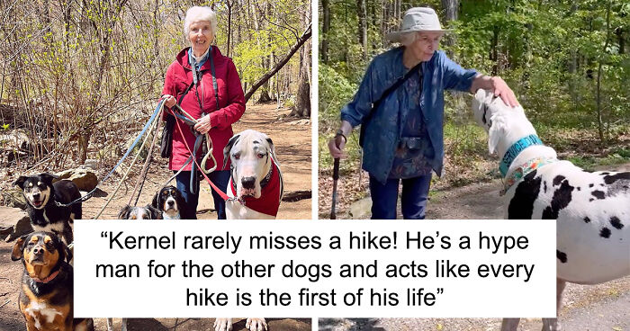 Grandma Becomes A Dogwalker To A Huge Great Dane Which Helps Her Cope With Her Recent Loss