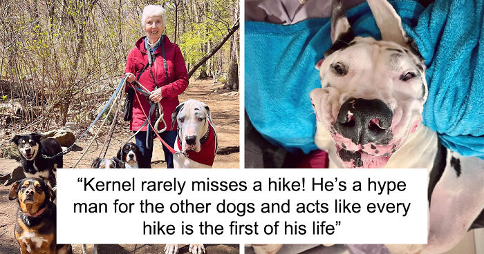 Heartwarming Story Of The Friendship Between A Bereaved Grandma And An Adorable Great Dane