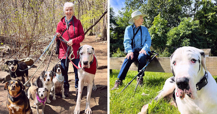 Giant Four-Legged Pal Helps Grandma Overcome Her Grief After Losing Her Husband