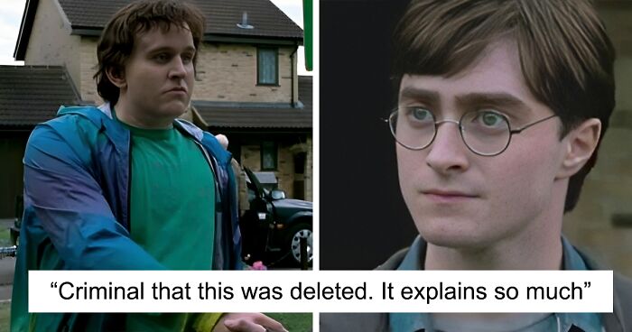 Deleted Harry Potter Scene With Dudley Being Sincere Leaves Fans Fighting Off Tears