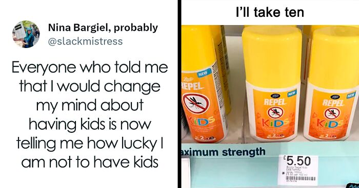 50 Jokes And Memes For Those Who Have Chosen Not To Have Children (New Pics)