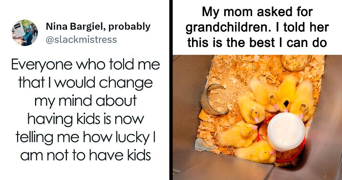 50 Childfree Memes To Enjoy Alongside Your Peace And Quiet (New Pics)