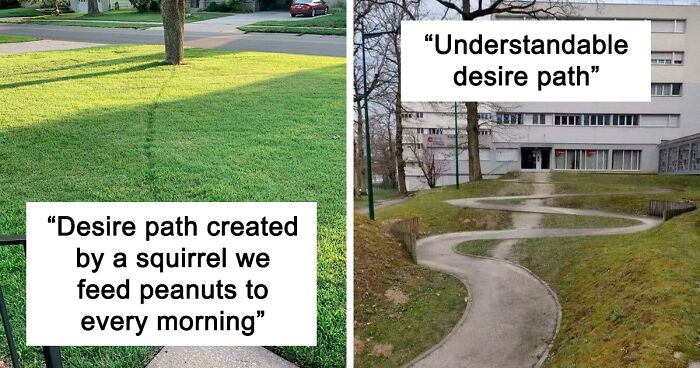 43 'Desire Paths' That Show People Will Literally Go Above And Beyond In The Name Of Convenience (New Pics)