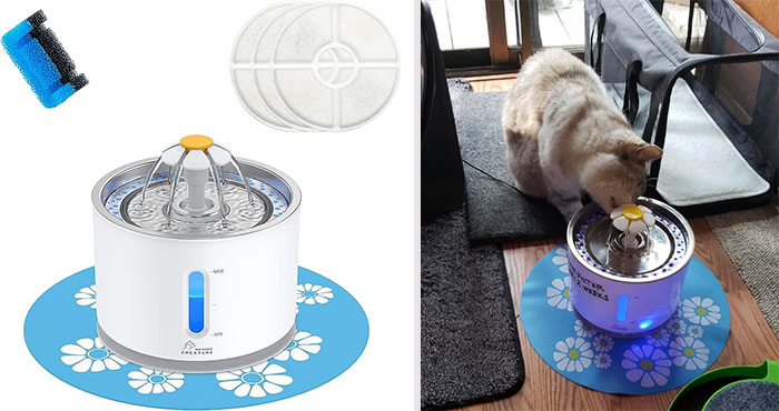 50% Off A Wonder Creature Cat Water Fountain