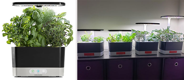 70% Off An Aerogarden Harvest With Gourmet Herb Seed Pod Kit