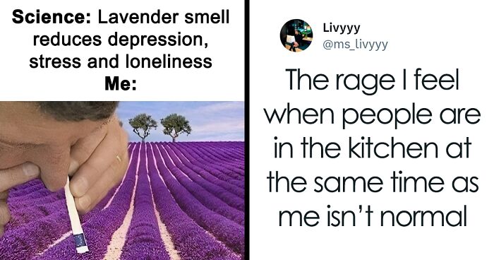 80 Introvert Memes To Send Your Other Calm-Loving Friends