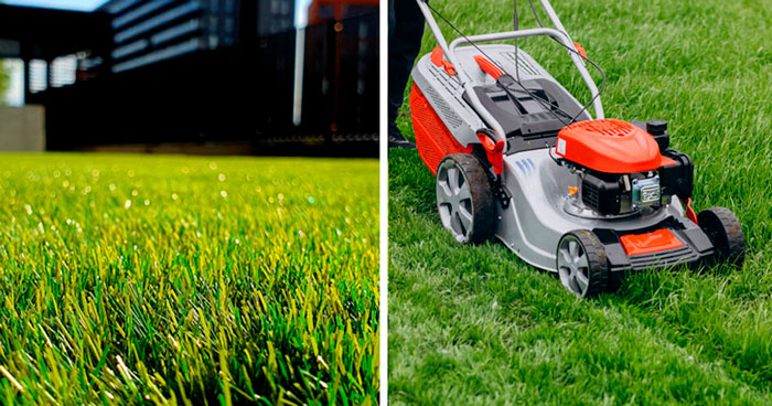 Game-changing Lawn Care Tips & Tricks for Lawn Maintenance