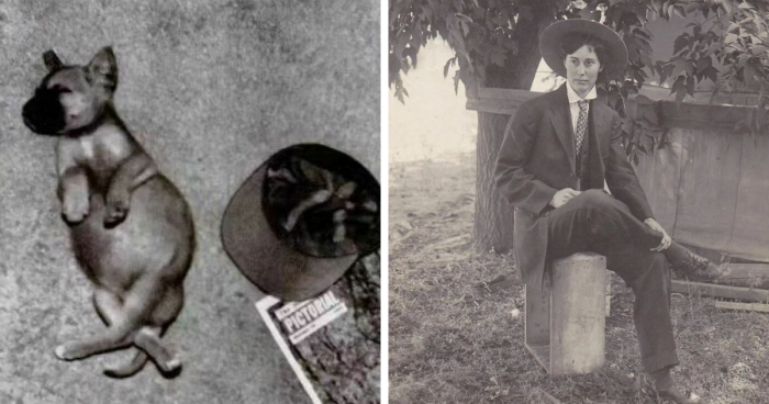 144 Intriguing Historical Photos, As Shared On This Instagram Page (New Pics)