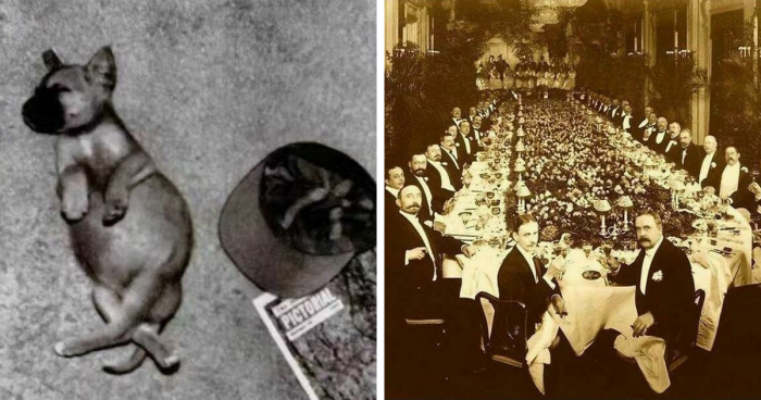 144 Interesting Photos From History, As Shared On This Popular IG Page (New Pics)