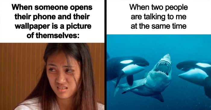 This IG Page Unites The “Shy, Anxious Overthinkers” With Memes, And Here Are 100 Of The Best