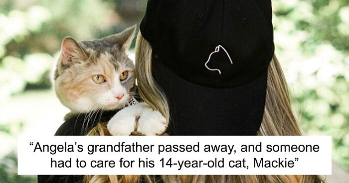 Angela Rafuse Is A Founder Of ‘My Grandfather’s Cat Charity’, Helping Seniors To Rehome Their Pets