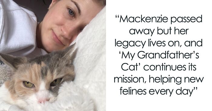 ‘My Grandfather’s Cat’: This Charity Helps Seniors And Terminally Ill People Arrange Homes For Their Pets