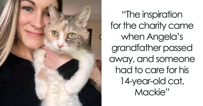 The Charity ‘My Grandfather’s Cat’ Is Dedicated To Helping Senior Pet Owners In Rehoming Their 4-Legged Companions