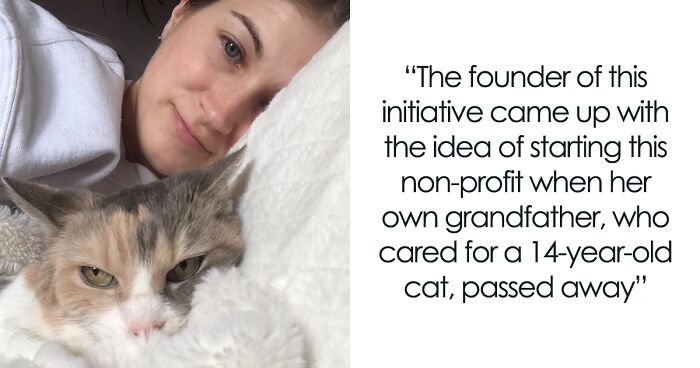 ‘My Grandfather’s Cat’ Is Dedicated To Finding The Second Forever Home For Pets In Need