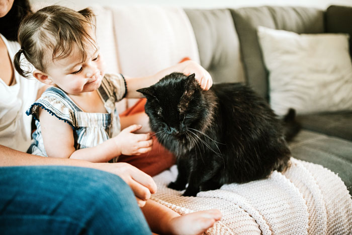 Woman Is Disappointed Friend Won’t Get Rid Of Her Cats Now That She’s Pregnant To Protect Her Baby