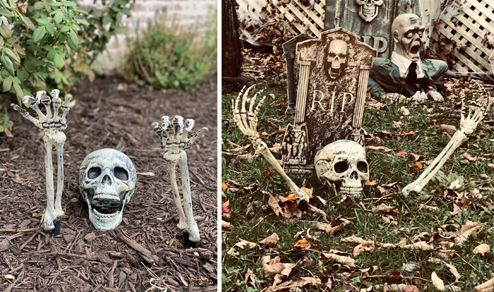 AISENO Realistic Skeleton Stakes Halloween Decoration: Are sure to scare off your friends as they climb out from the graveyard.