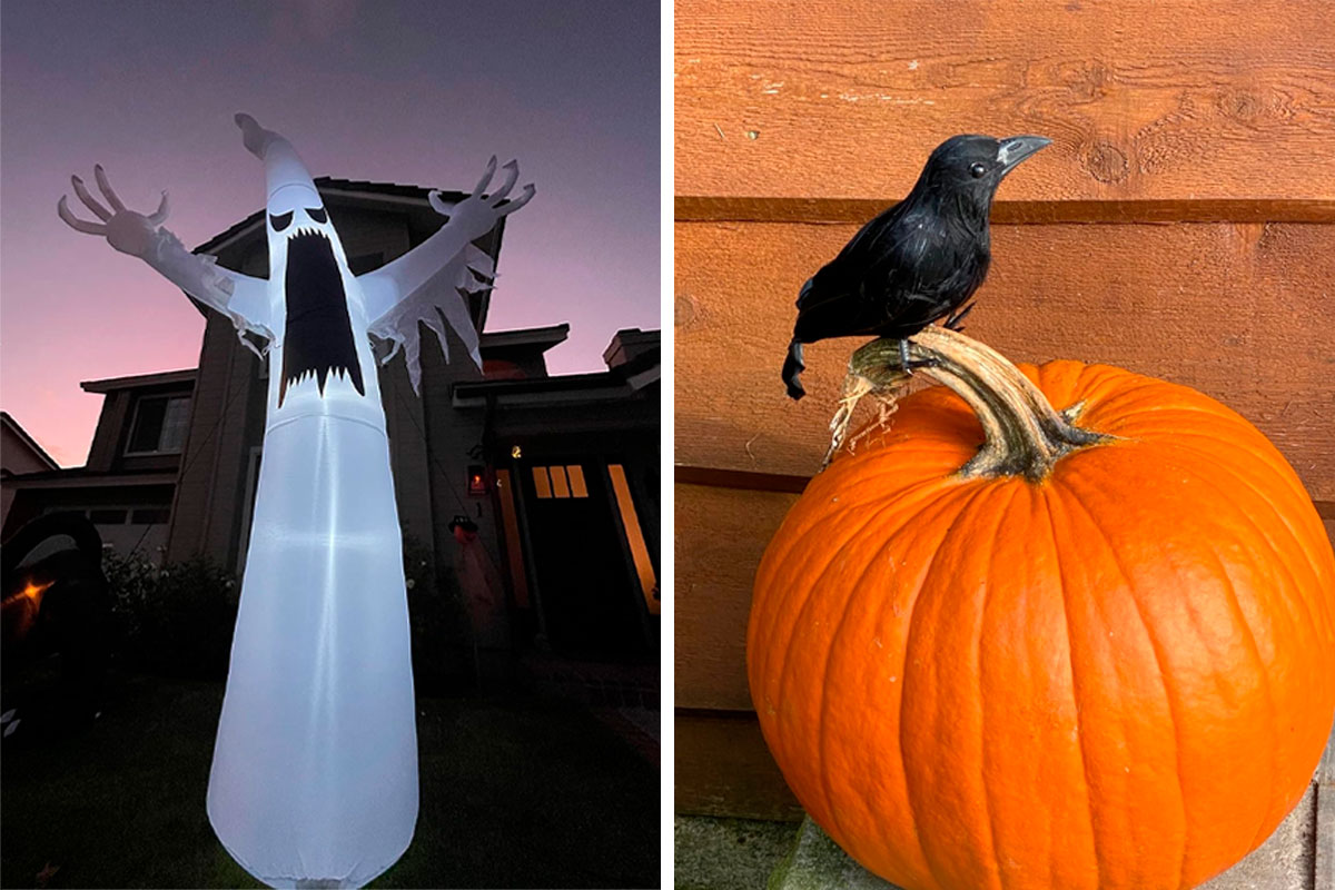 Outdoor Halloween Decoration Ideas 2023 Cover 800 