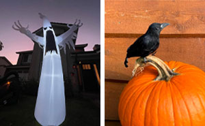 20 Outdoor Halloween Decorations That Will Turn Your Home Into A Haunted Mansion