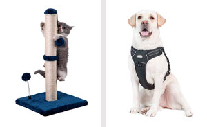 Score Big Savings on Pet Essentials During Prime Day