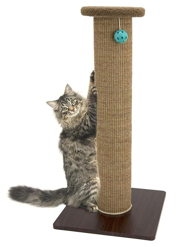 Kitty City Cat Scratcher